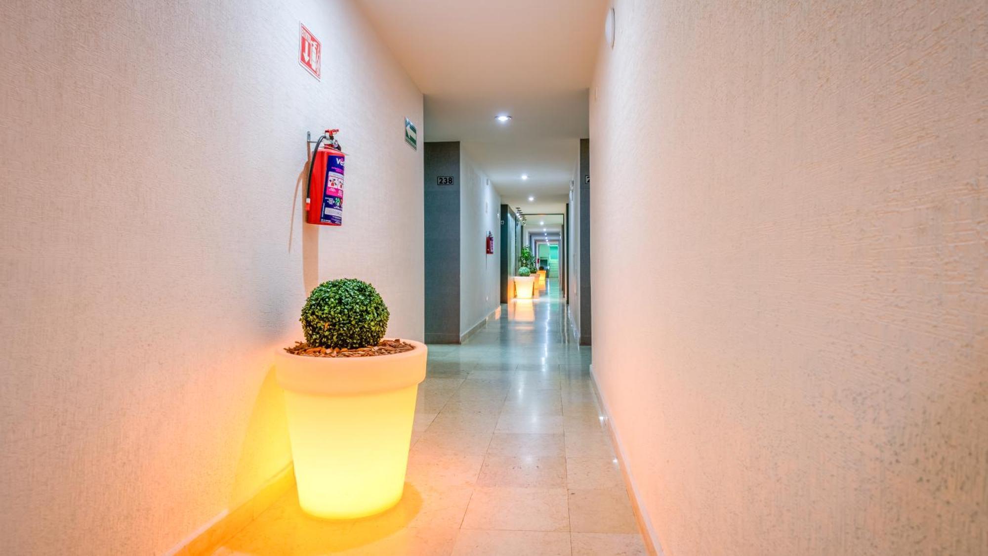 Homesuites Rotarismo Culiacan Exterior photo